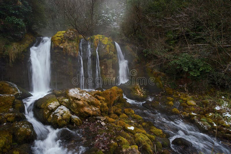 Diverse piccole cacasche d'acqua fotografia stock Diverse piccole cacasche d'acqua fotografia stock