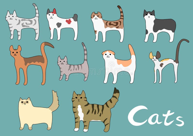 Diverse soorten kat royalty-vrije illustratie Diverse soorten kat royalty-vrije illustratie