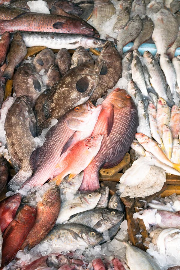 Diverse soorten vissen worden getoond op de lijst voor verkoop in de markt De vis wordt gemengd met ijs om zijn versheid te bewar stock fotografie Diverse soorten vissen worden getoond op de lijst voor verkoop in de markt De vis wordt gemengd met ijs om zijn versheid te bewar stock fotografie