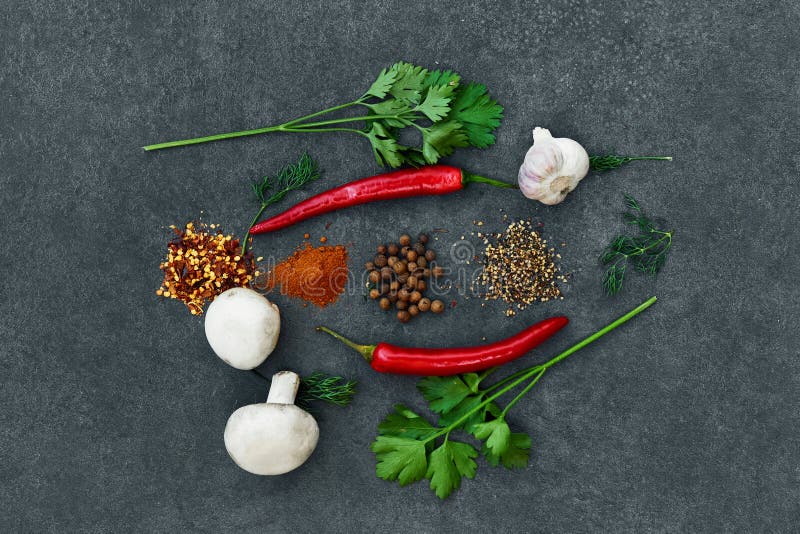 Diverses herbes et ?pices sur le fond noir Poivre, sel, piment rouge, ail, safran des indes, pois de poivre photographie stock libre de droits Diverses herbes et ?pices sur le fond noir Poivre, sel, piment rouge, ail, safran des indes, pois de poivre photographie stock libre de droits