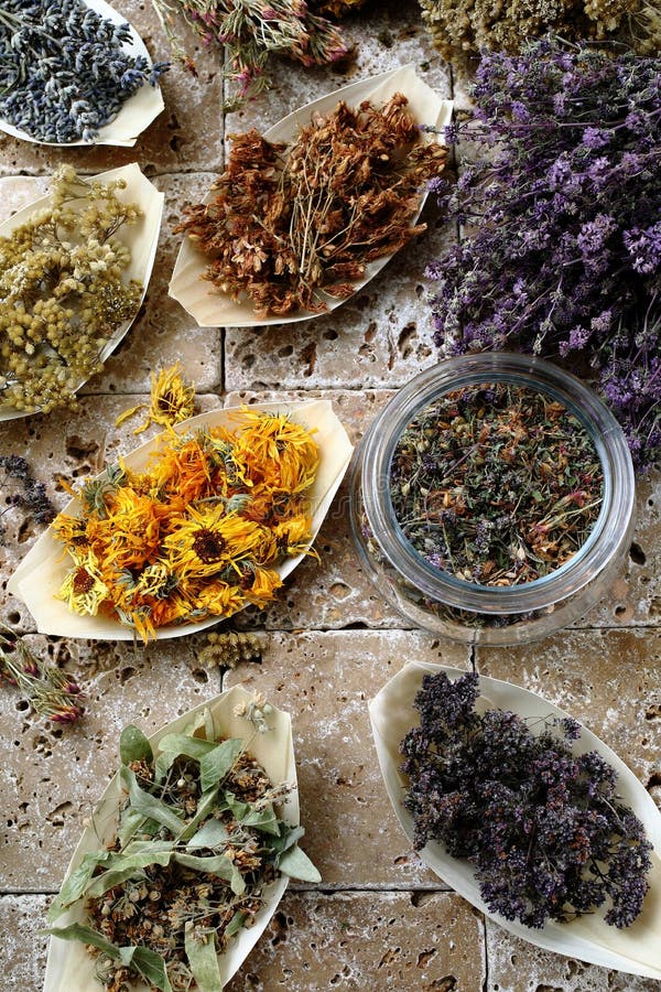 Diversi tipi di tisane a base di erbe in ciotole su fondo di legno fotografie stock