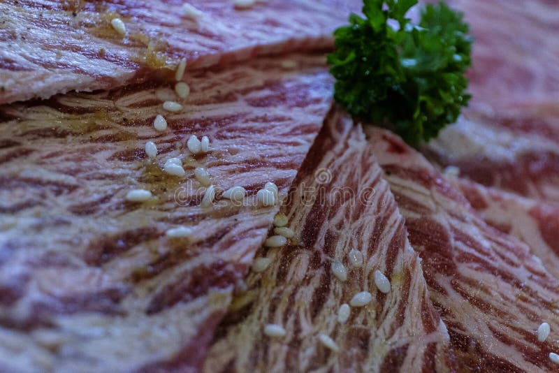 Diversos cortes de la carne cruda tirados desde arriba en una parrilla del arrabio imágenes de archivo libres de regalías Diversos cortes de la carne cruda tirados desde arriba en una parrilla del arrabio imágenes de archivo libres de regalías