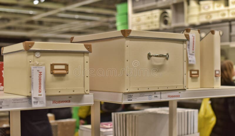 Los Diversos Envases Con La Planta Interior Tropical Verde De La Casa