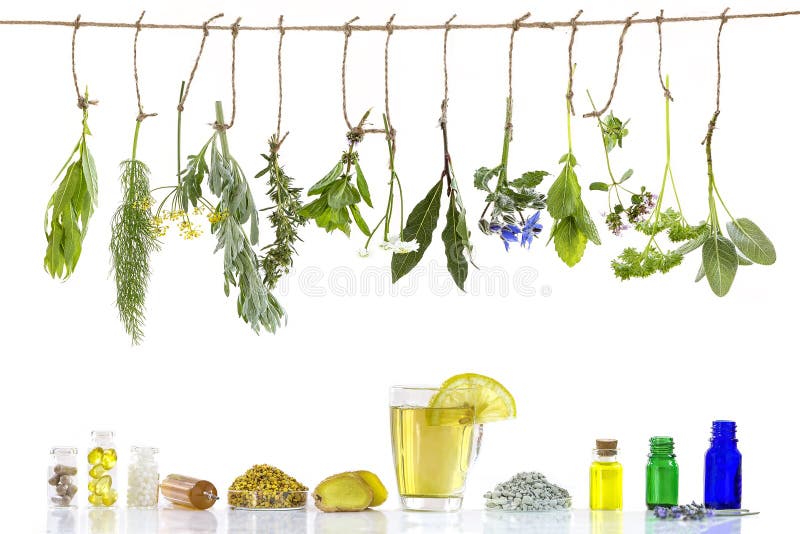 Diversos ingrdients Preparación de las plantas medicinales para la promoción healthbeauty de la medicina alternativa del phytothe fotos de archivo libres de regalías Diversos ingrdients Preparación de las plantas medicinales para la promoción healthbeauty de la medicina alternativa del phytothe fotos de archivo libres de regalías