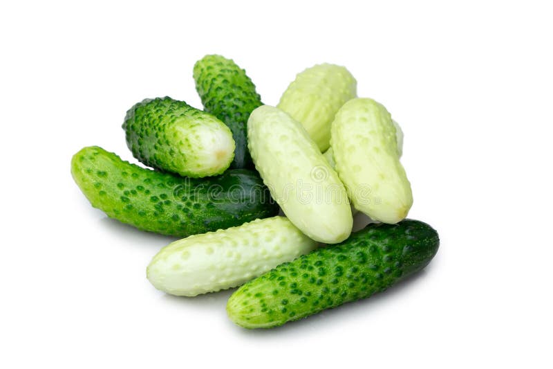 Diversos pepino pequenos dos pepinos de variedades diferentes isolados no fundo branco imagens de stock Diversos pepino pequenos dos pepinos de variedades diferentes isolados no fundo branco imagens de stock