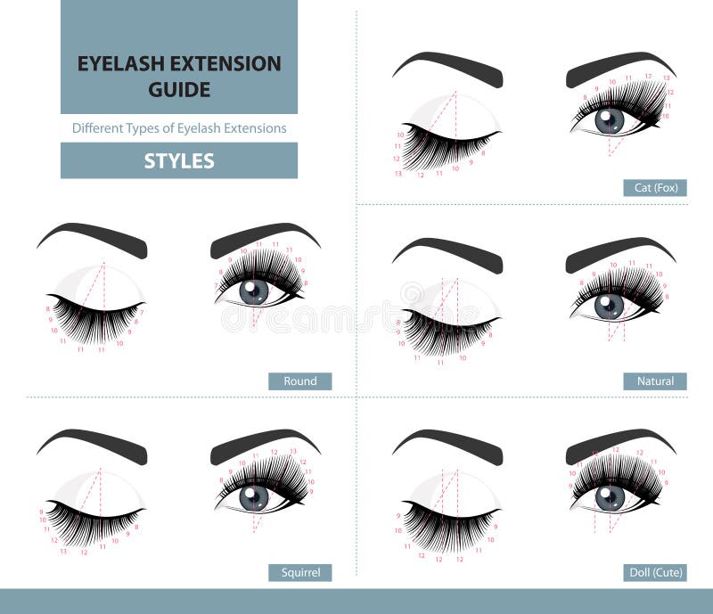 Diversos tipos de extensiones de la pestaña Estilos para la mirada más lisonjeramente Ejemplo del vector de Infographic Diversos tipos de extensiones de la pestaña Estilos para la mirada más lisonjeramente Ejemplo del vector de Infographic