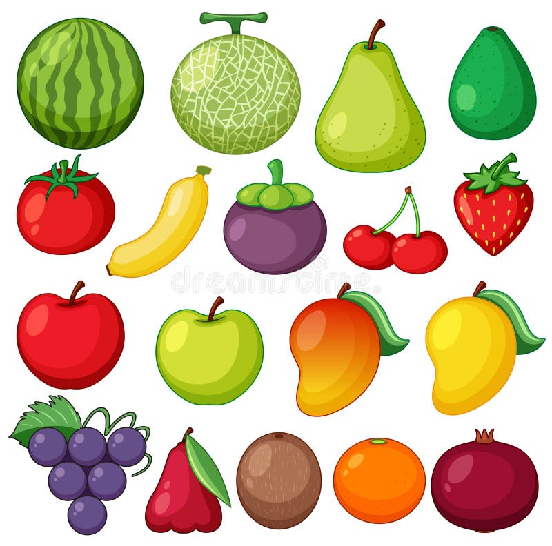 Diversos tipos de frutas frescas en el fondo blanco ilustración del vector Diversos tipos de frutas frescas en el fondo blanco ilustración del vector
