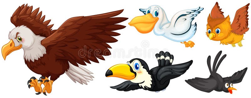 Diversos tipos de volar de los pájaros stock de ilustración Diversos tipos de volar de los pájaros stock de ilustración