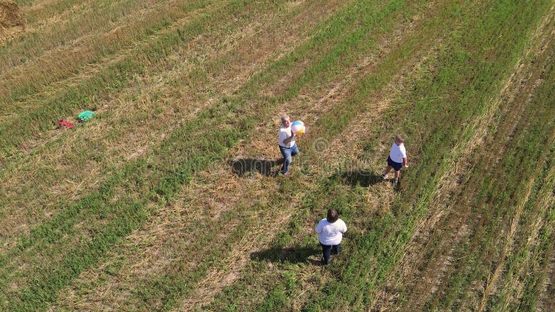 Divertida y feliz familia jugando bola al aire libre vista aérea. metrajes