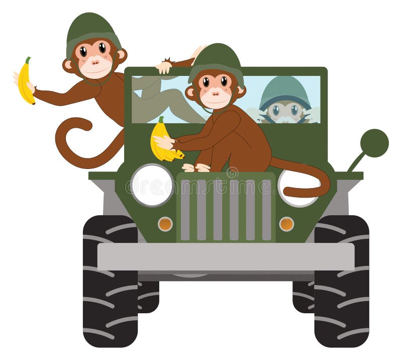  Divertidos Monos Militares Con Plátanos En Jeep Militar Aislado En Blanco Con Recorrido De Recorte Stock de ilustración