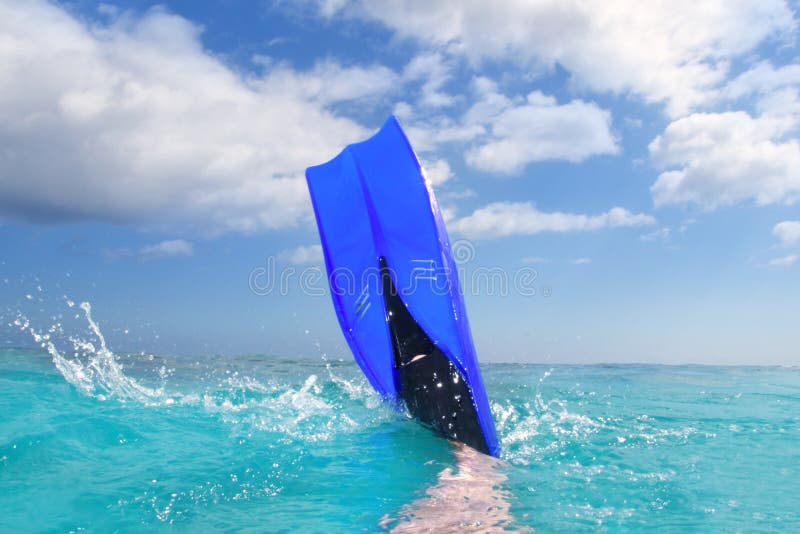 Diving blue fin splashing in Caribbean surface royalty free stock photo Diving blue fin splashing in Caribbean surface royalty free stock photo