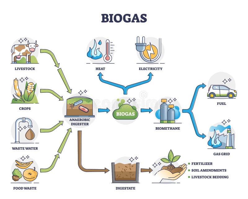 Biogas or bio gas division for energy consumption and sources outline diagram. Labeled educational natural renewable resource for eco gas grid and fuel or heat and electricity vector illustration. Biogas or bio gas division for energy consumption and sources outline diagram. Labeled educational natural renewable resource for eco gas grid and fuel or heat and electricity vector illustration.
