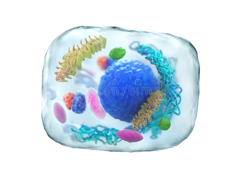 Diviziunea celulară sub microscop izolat pe o ilustrație 3d albă royalty free illustration