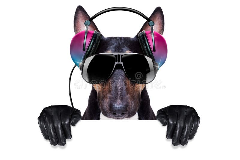 Dj giba dog dance sales