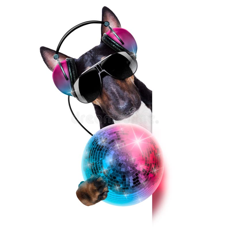 Pit Bull Concert Stock Photos Free & RoyaltyFree Stock Photos from