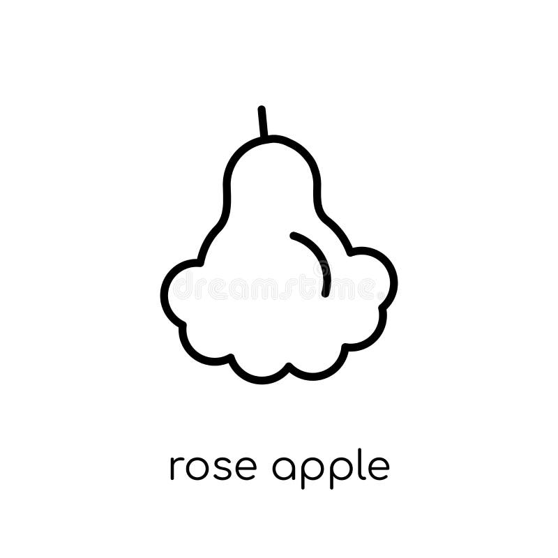 Djamboevruchtpictogram van Fruit en groenteninzameling royalty-vrije illustratie Djamboevruchtpictogram van Fruit en groenteninzameling royalty-vrije illustratie
