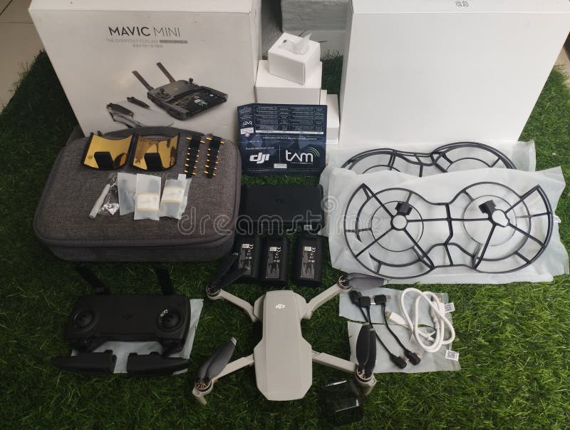 mavic mini combo olx