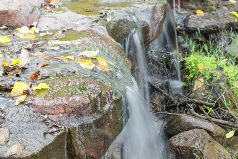 Djup liten skogvattenfall, härligt arkivfoto Djup liten skogvattenfall, härligt arkivfoto