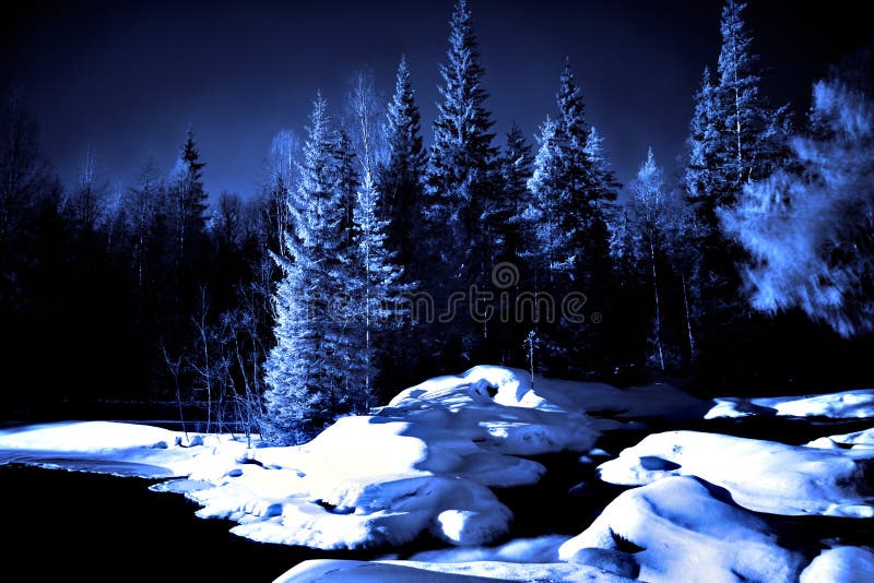 djup natt för skoglakemoon arkivfoto djup natt för skoglakemoon arkivfoto