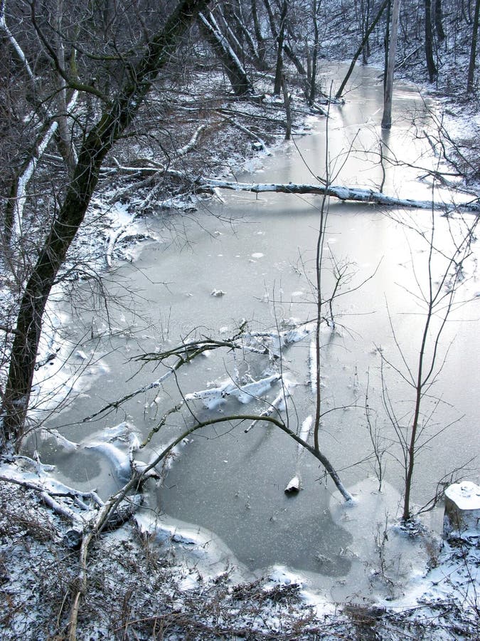 Djupfryst flod royaltyfri fotografi