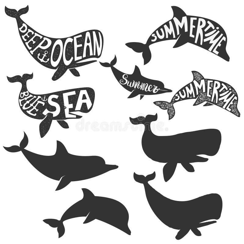 djupt hav Sommartid Delfin- och valkonturer med bokstaven royaltyfri illustrationer djupt hav Sommartid Delfin- och valkonturer med bokstaven royaltyfri illustrationer