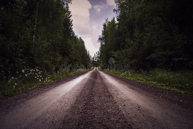 Djupt perspektiv av grusvägen till och med skog royaltyfria foton Djupt perspektiv av grusvägen till och med skog royaltyfria foton