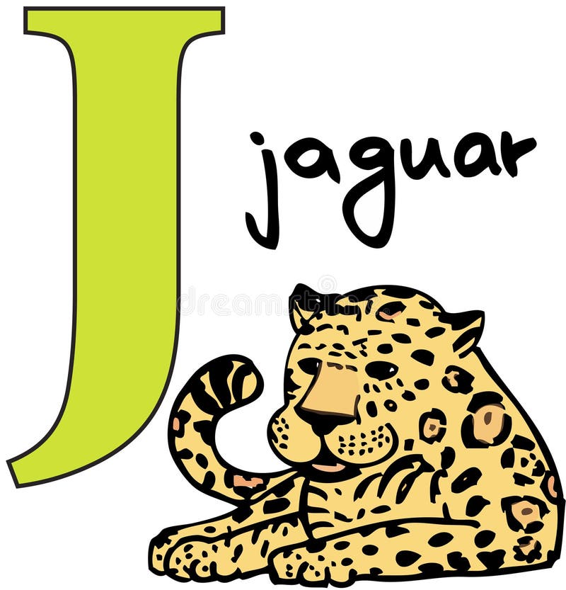 djur j jaguar för alfabet