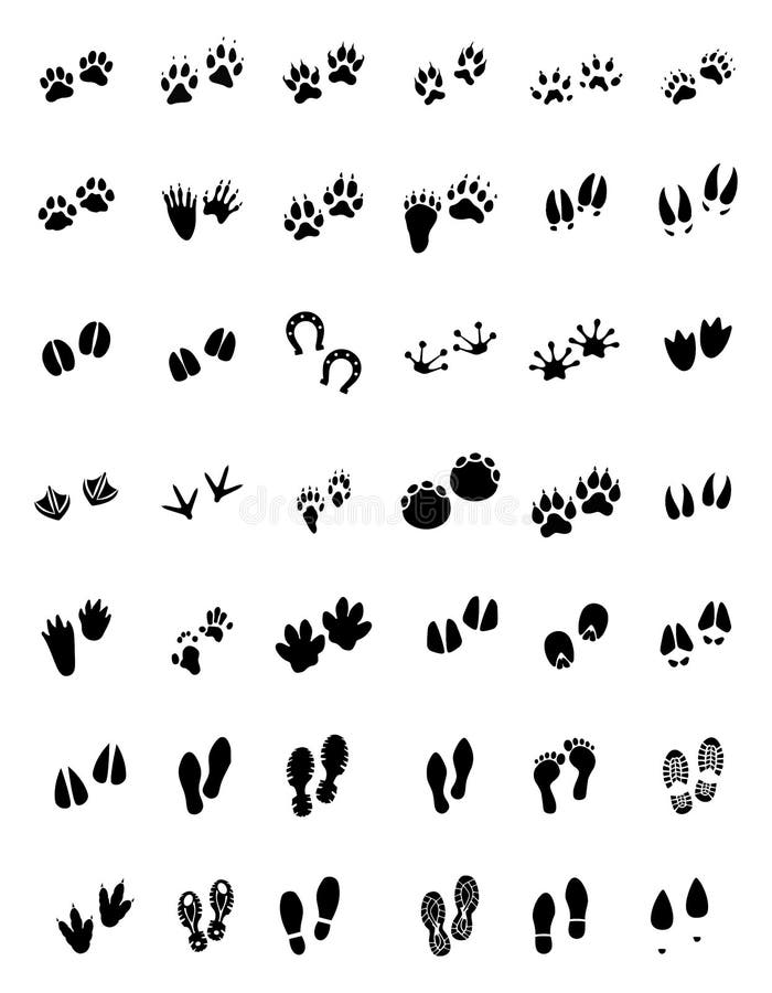 Djura spår - vektor för fottryckhandbok stock illustrationer Djura spår - vektor för fottryckhandbok stock illustrationer