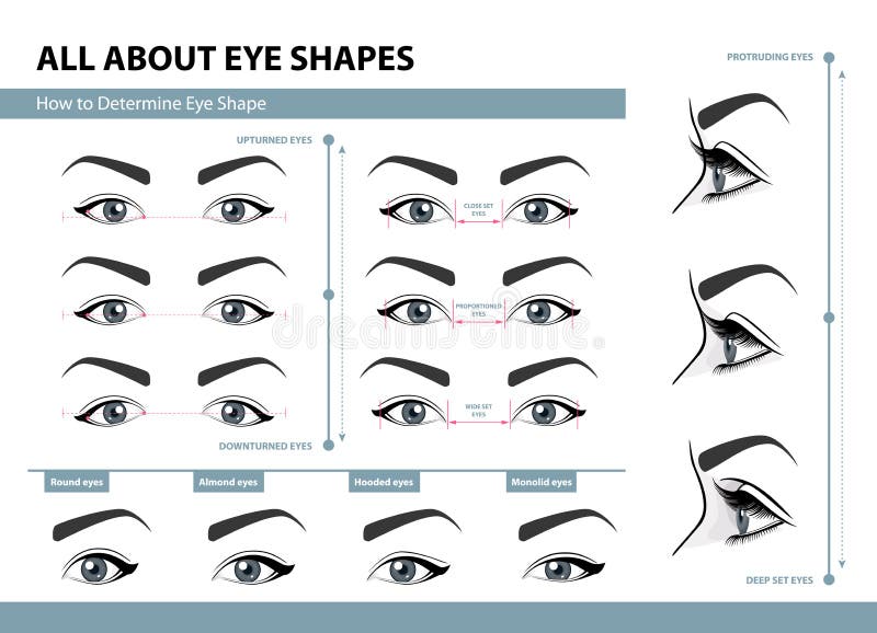 Dlaczego ustalać oko kształt Różnorodni typ żeńscy oczy Set wektorowe ilustracje z podpisami Szablon dla Makeup