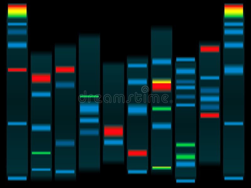 Illustrazione di un dna umano in nero con evidenziati i filamenti di dna ideale per le scuole info.