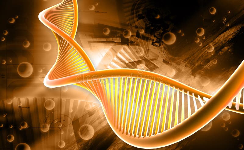 DNA διανυσματική απεικόνιση