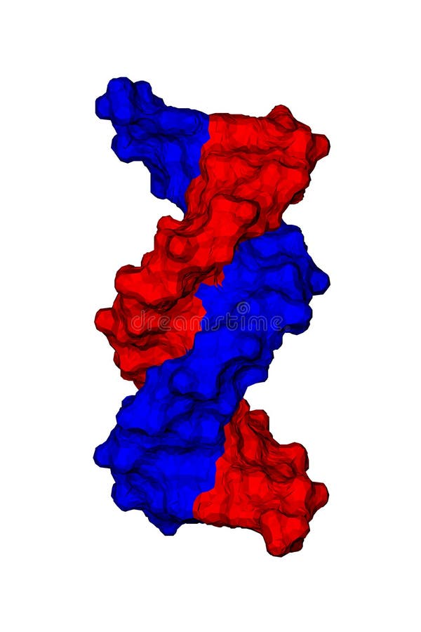 DNA vector illustration