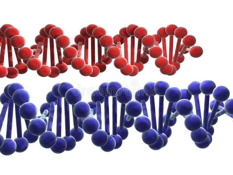 DNA royalty free illustration