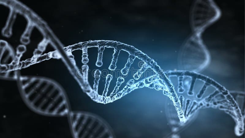 DNA-Bundel langzame motie