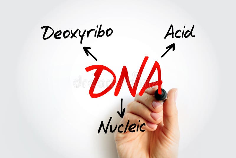 DNA Deoxyribonucleic Acid Acronym, Medical Concept Background Stock