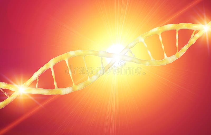 DNA, Deoxyribonucleic zuur is een thread-like ketting van nucleotiden die de genetische die instructies dragen in de groei, ontwi vector illustratie DNA, Deoxyribonucleic zuur is een thread-like ketting van nucleotiden die de genetische die instructies dragen in de groei, ontwi vector illustratie