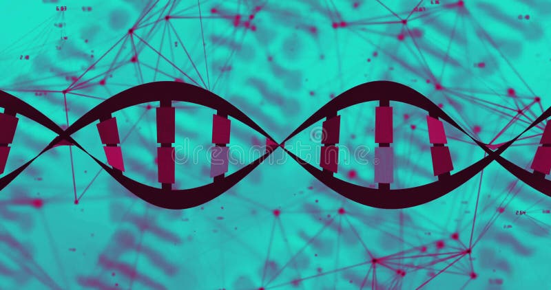 DNA double helix animation over network of connections and data points royalty free illustration