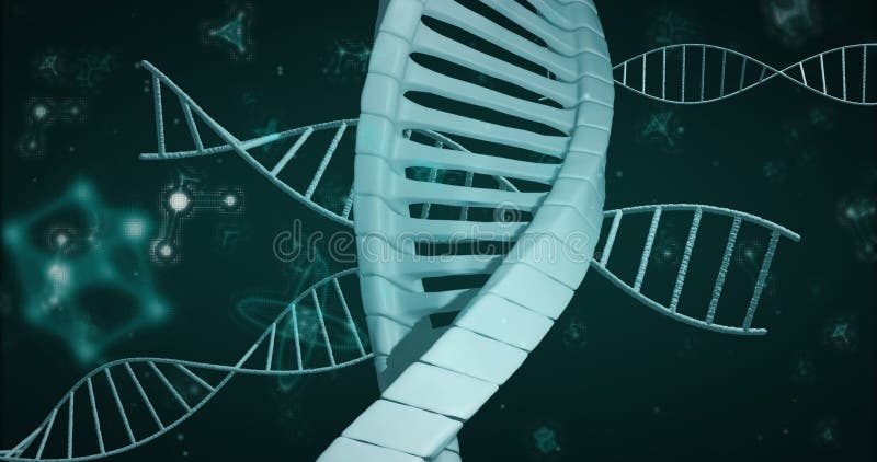 DNA double helix being visualized in 3D render space twisting among floating molecular nodes stock video footage