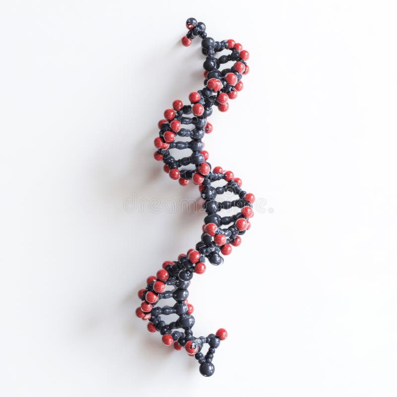 Dna double helix model with black and red atoms on light background genetic structure concept royalty free illustration