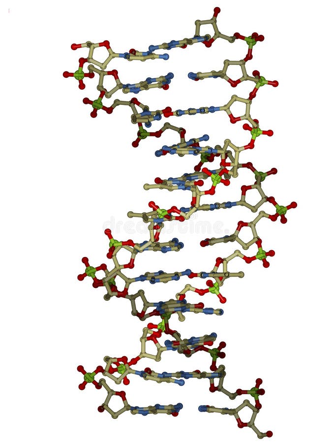 DNA double helix molecule royalty free illustration
