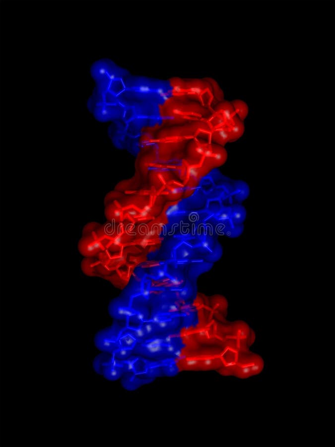 Rendering of a DNA double helix molecule