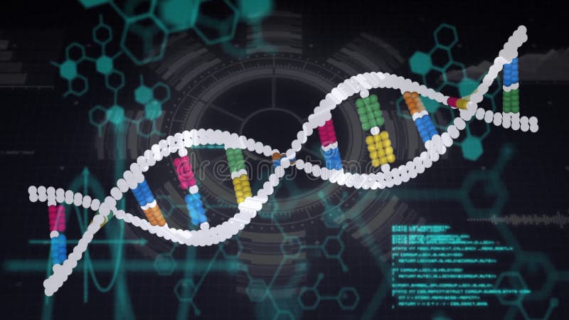 DNA double helix rotating within grid overlay, displaying colored nucleotide pairs and HUD icons stock video footage