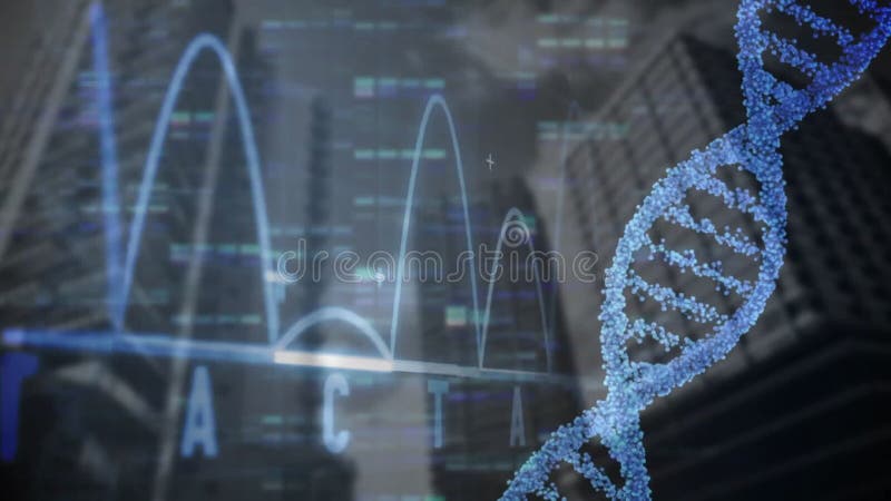 DNA double helix visualization floating atop nucleotide waveform graphs and code above skyline stock video footage