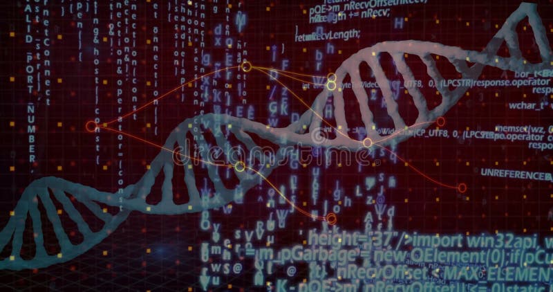 DNA double helix weaving through virtual red grid, glowing data points linking curved nodes stock video footage