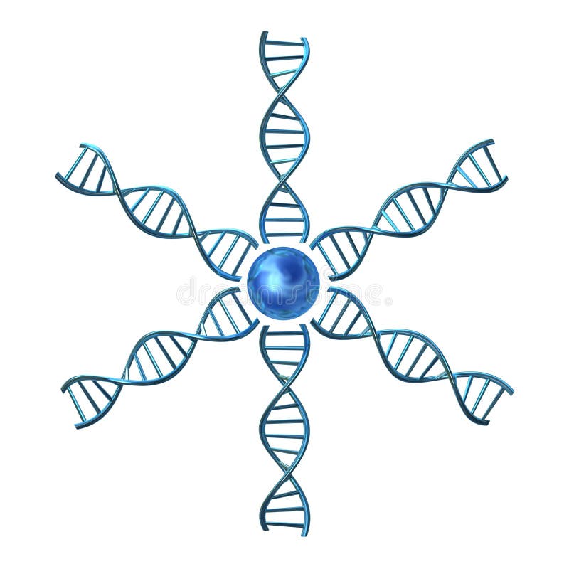 Dna helices