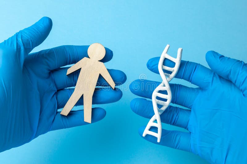 DNA helix research. Concept of genetic experiments on human biological code. The scientist is holding DNA helix and human figure