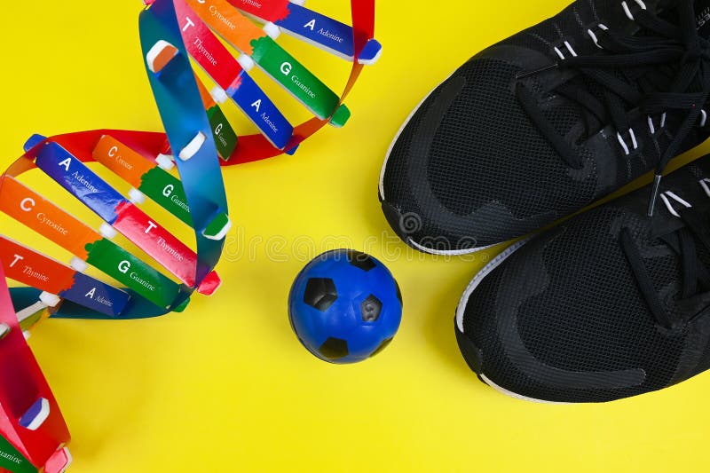 DNA Helix Structure. and Sports Performance, the Present and