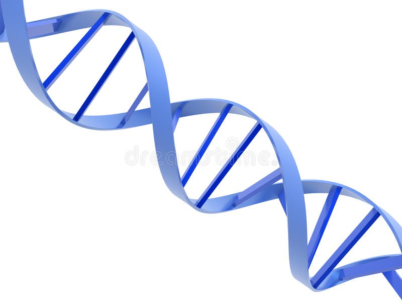 Dna helixes royalty free illustration Dna helixes royalty free illustration