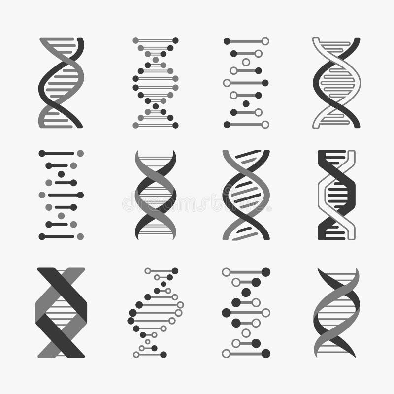 DNA Ingenier?a gen?tica de los cromosomas de la bioinform?tica de la estructura del gen de la c?lula de la h?lice de la biolog?a ilustración del vector DNA Ingenier?a gen?tica de los cromosomas de la bioinform?tica de la estructura del gen de la c?lula de la h?lice de la biolog?a ilustración del vector