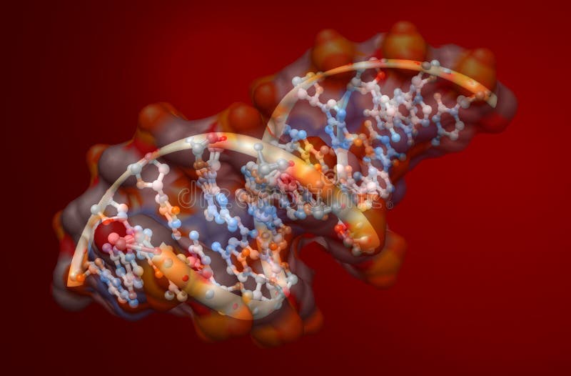 DNA molecule royalty free illustration